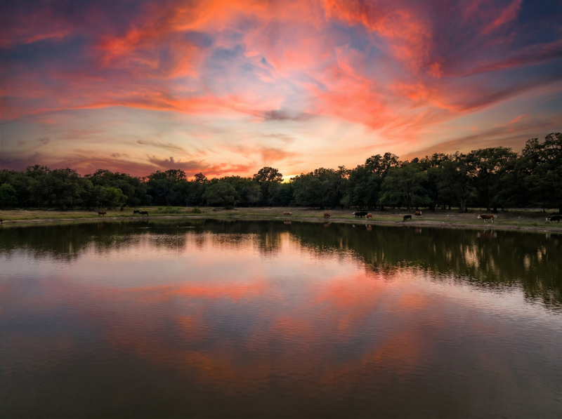 Pond Packages